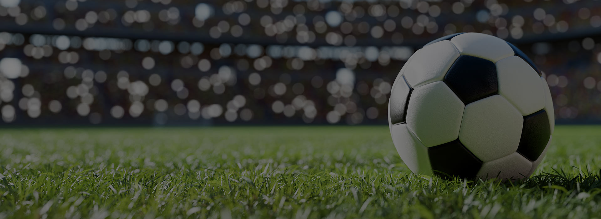 Euro 2024 - Meat Offers